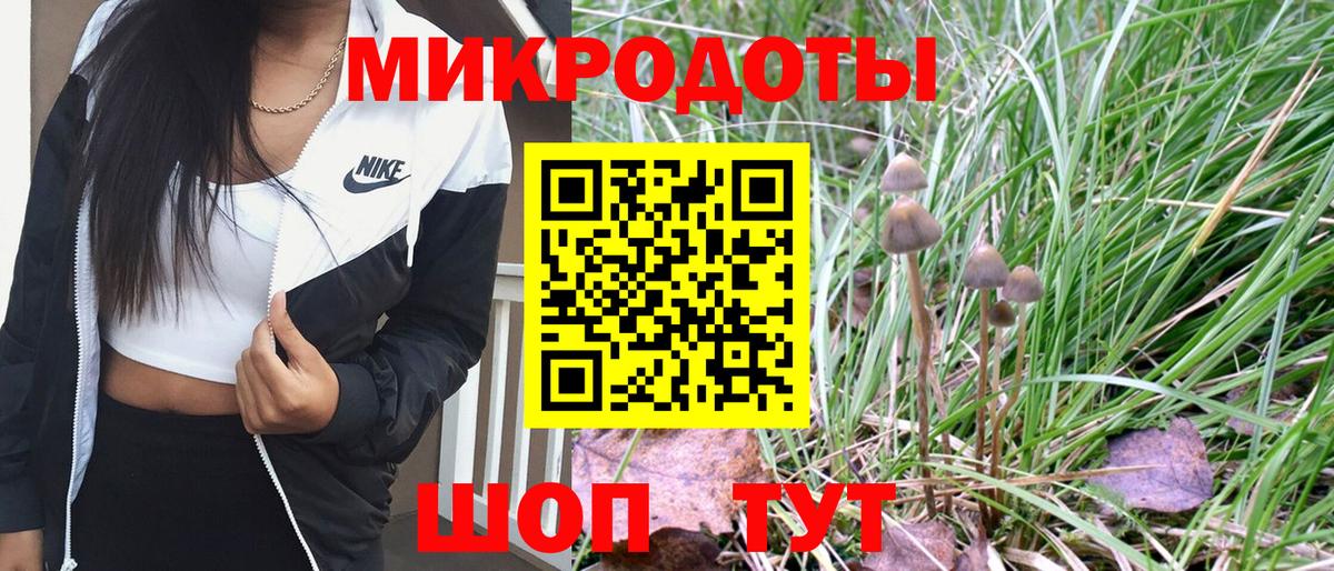 Галлюциногенные грибы Psilocybine cubensis  Галлюциногенные грибы Psilocybine cubensis  Советский  Вход с VPN 